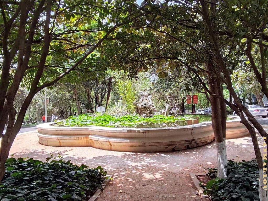 Kunming - Universite du Yunnan (43).jpg